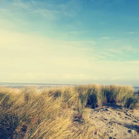 Nordsee-feeling Apartment Schillig