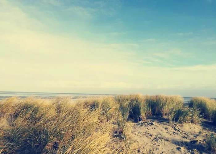 Nordsee-feeling Lägenhet Schillig